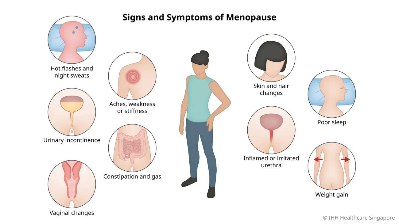 Menopause